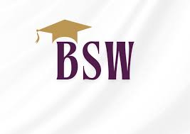 BSW Course Arts and Science